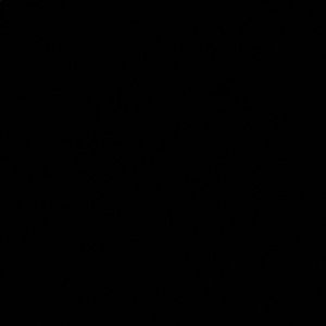 Meet your Posher, Moses